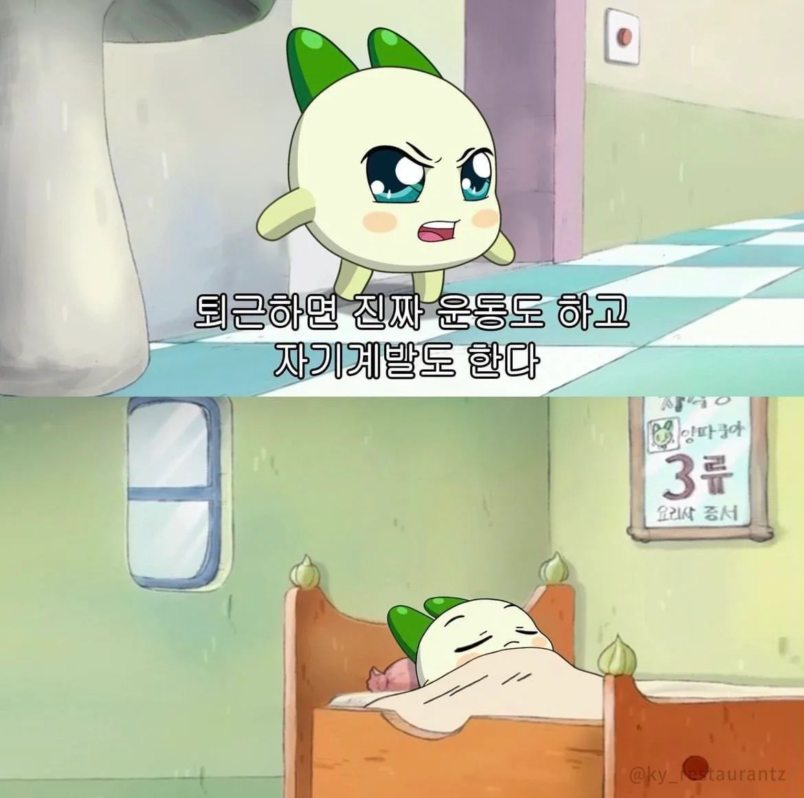 화이팅