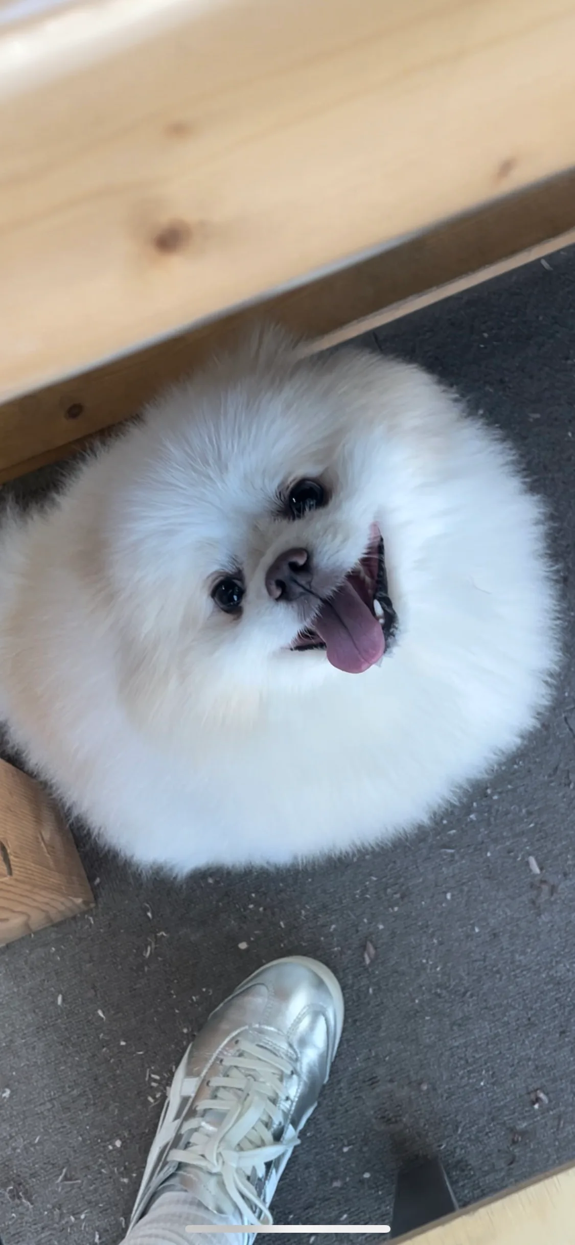 커엽