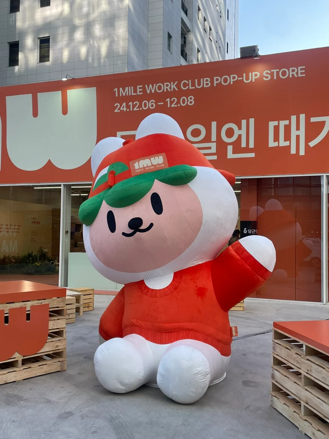 무신사당근이