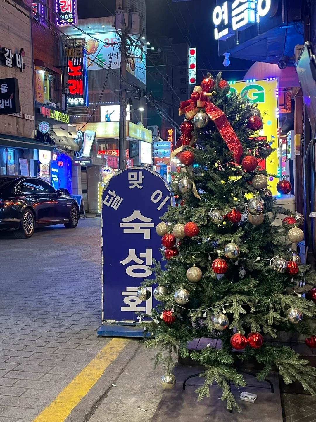 달맞이트리1