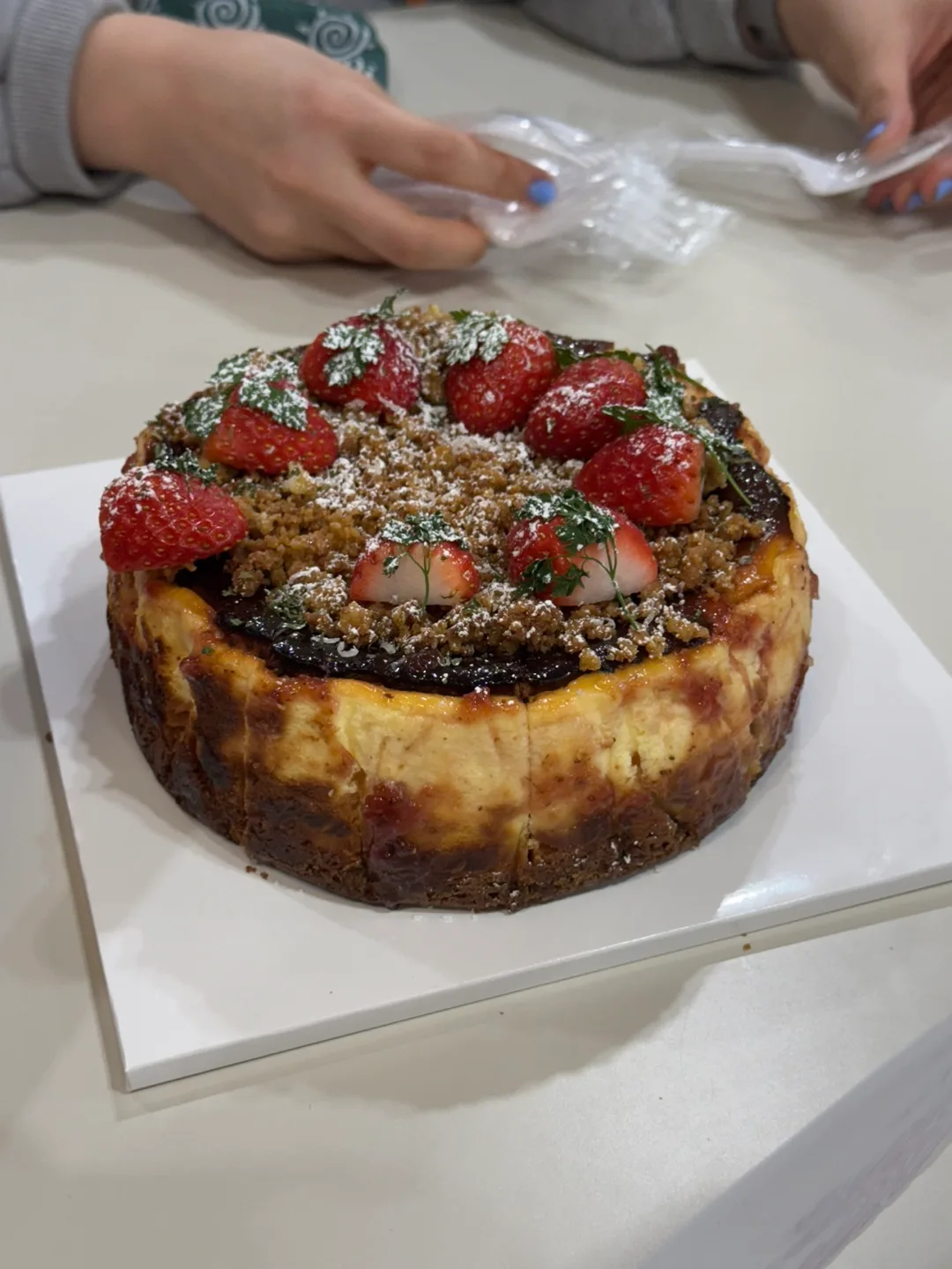 헤일리 짱