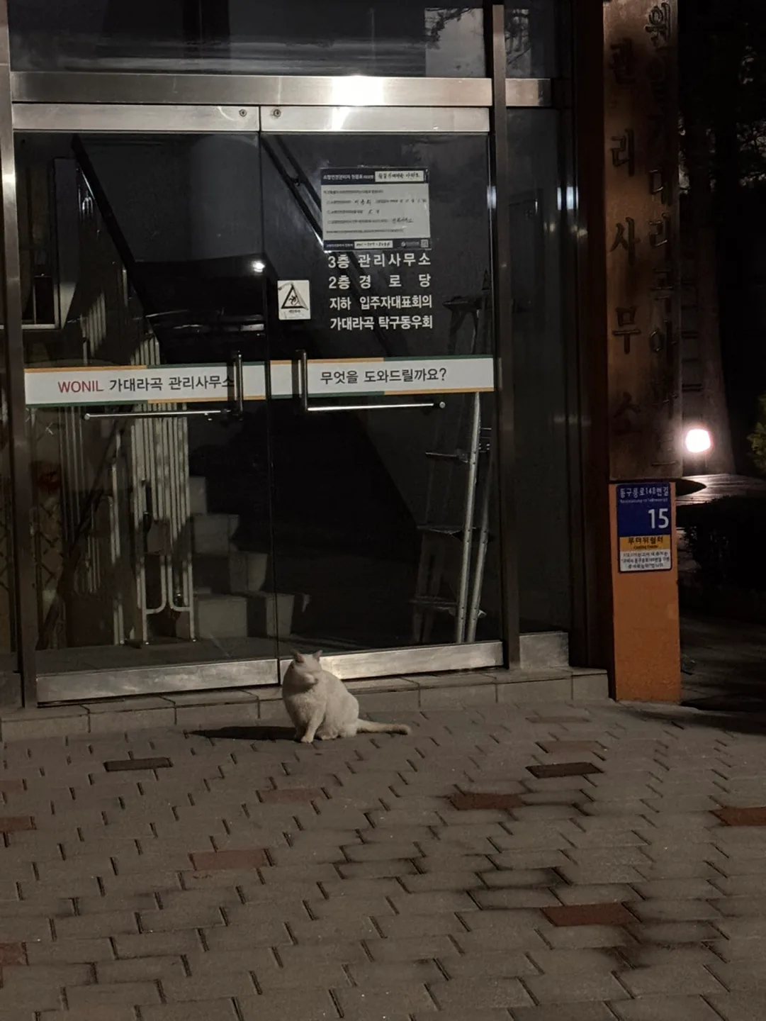 테스트