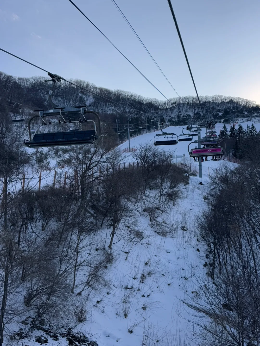 보드복