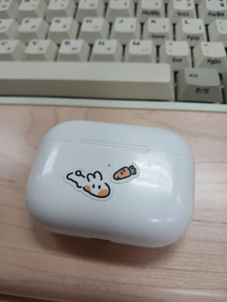 에어팟 프로3
