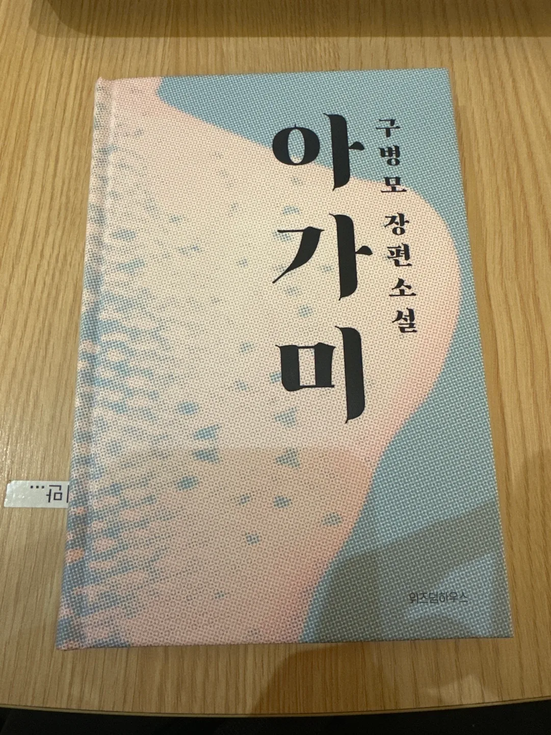 아가미 (구병모 장편소설)