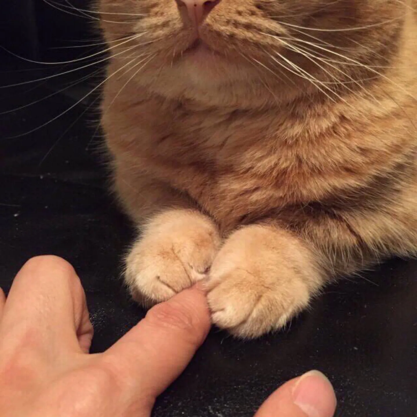 스타벅스 프리퀀시 사주세요