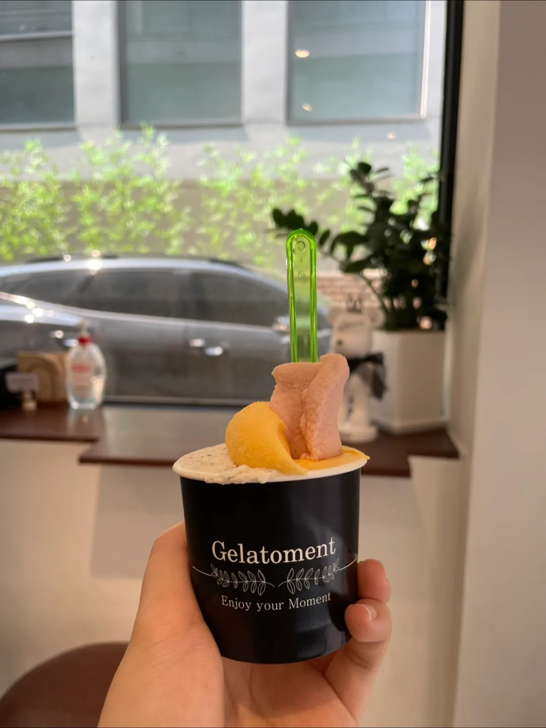 젤라또먼트 젤라또